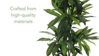 Image showing  6 ft. Dracaena Silk Plant