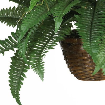 Image showing  Boston Fern Silk Hanging Basket