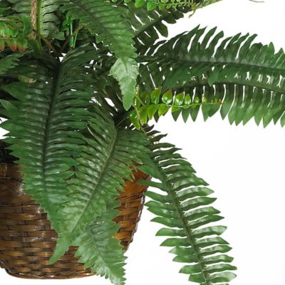 Image showing  Boston Fern Silk Hanging Basket