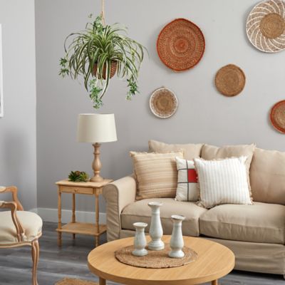 Image showing  Spider Hanging Basket Silk Plant