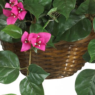 Image showing  24 in. Silk Bougainvillea Plant in Hanging Basket