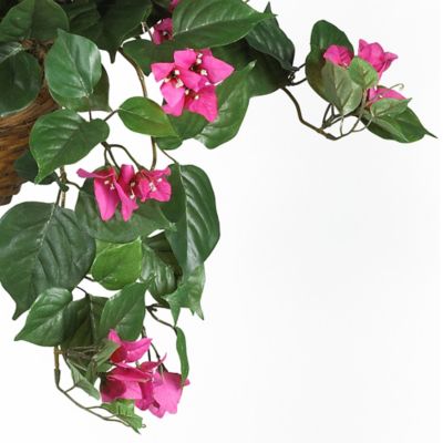 Image showing  24 in. Silk Bougainvillea Plant in Hanging Basket