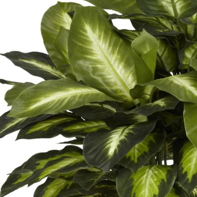 Image showing  24 in. Silk Golden Dieffenbachia Plant
