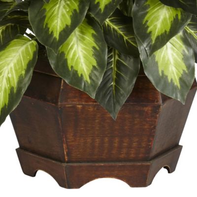 Image showing  24 in. Silk Golden Dieffenbachia Plant