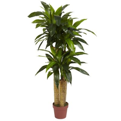 Nearly Natural 4 ft. Corn Stalk Dracaena Silk Plant