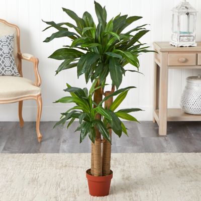 Image showing  4 ft. Corn Stalk Dracaena Silk Plant