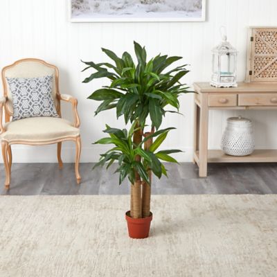 Image showing  4 ft. Corn Stalk Dracaena Silk Plant