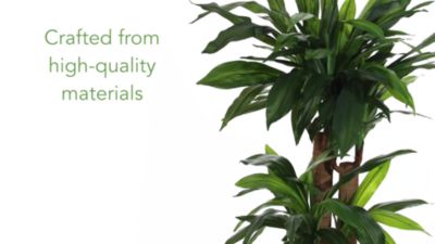 Image showing  4 ft. Corn Stalk Dracaena Silk Plant