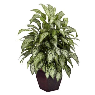 Nearly Natural Silver Queen Silk Plant with Decorative Planter