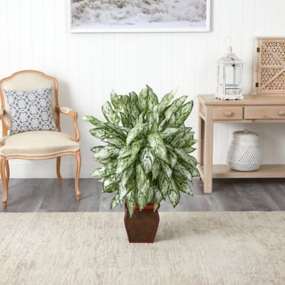 Image showing  Silver Queen Silk Plant with Decorative Planter
