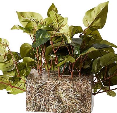 Image showing  15 in. Pothos Ledge Plant Silk Plant