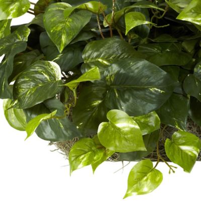 Image showing  15 in. Pothos Ledge Plant Silk Plant