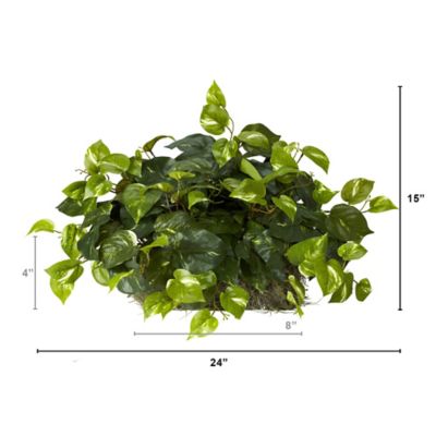 Image showing  15 in. Pothos Ledge Plant Silk Plant