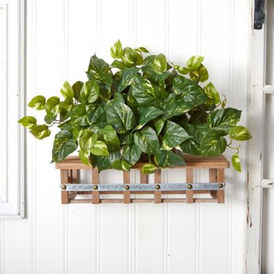 Image showing  15 in. Pothos Ledge Plant Silk Plant