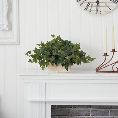 Image showing  Ivy with White Wash Planter Silk Plant