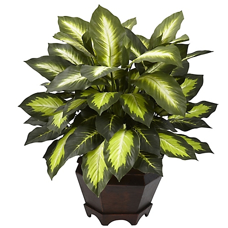 Nearly Natural 22 in. Triple Golden Dieffenbachia with Wood Vase