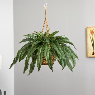 Image showing  22 in. Artificial Large Boston Fern Hanging Basket
