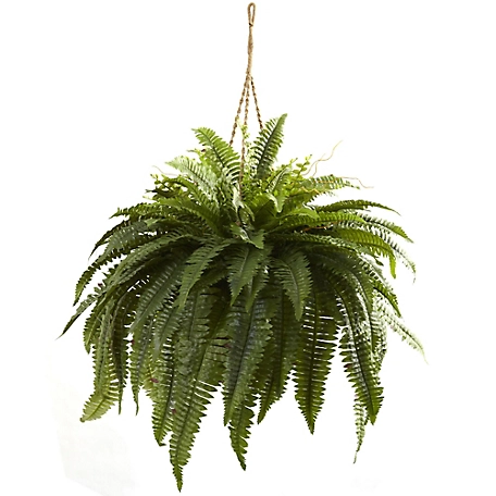 Nearly Natural 29 in. Double Giant Boston Fern Hanging Basket