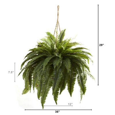 Image showing  29 in. Artificial Double Giant Boston Fern Hanging Basket