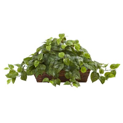 Image showing  15 in. Artificial Pothos with Ledge Basket