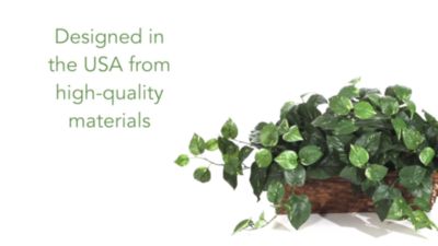 Image showing  15 in. Artificial Pothos with Ledge Basket