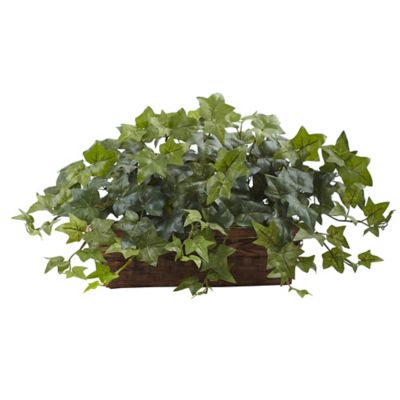 Image showing  12.5 in. Artificial Puff Ivy with Ledge Basket