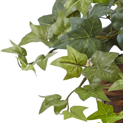 Image showing  12.5 in. Artificial Puff Ivy with Ledge Basket