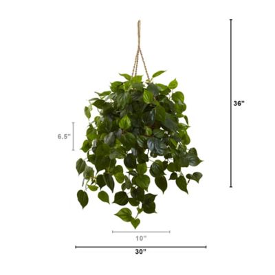 Image showing  36 in. Artificial Indoor/Outdoor UV-Resistant Philodendron Hanging Basket