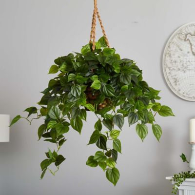 Image showing 5 th Nearly Natural 36 in. Artificial Indoor/Outdoor UV-Resistant Philodendron Hanging Basket