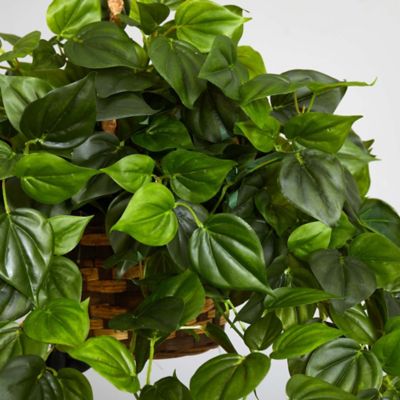 Image showing 6 th Nearly Natural 36 in. Artificial Indoor/Outdoor UV-Resistant Philodendron Hanging Basket