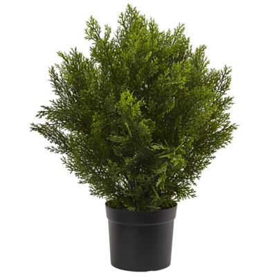 Nearly Natural 2 ft. Cedar Artificial Bush, Indoor/Outdoor