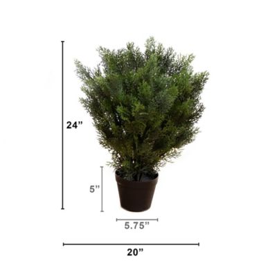 Image showing 5 th Nearly Natural 2 ft. Artificial Indoor/Outdoor Cedar Bush