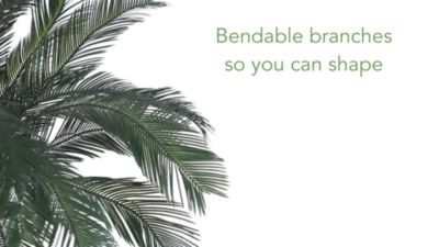 Image showing  6 ft. Cycas Artificial Tree, UV Resistant, Indoor/Outdoor