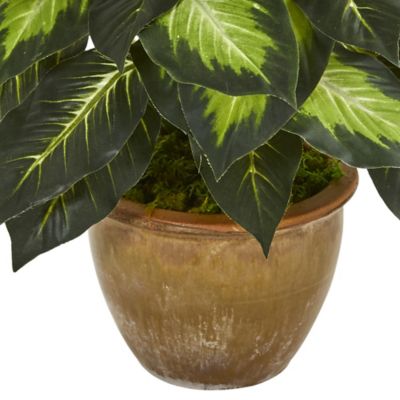 Image showing  18 in. Artificial Dieffenbachia Plant in Ceramic Planter