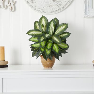 Image showing 5 th Nearly Natural 18 in. Artificial Dieffenbachia Plant in Ceramic Planter