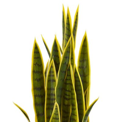 Image showing  33 in. Artificial Sansevieria Plant