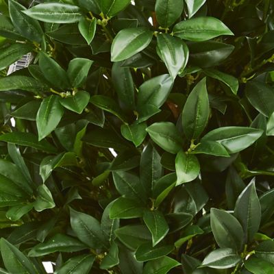 Image showing  4 ft. Artificial Indoor/Outdoor UV-Resistant Bay Leaf Topiary Tree