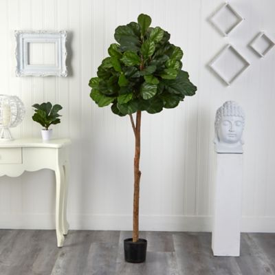 Image showing  6 ft. Fiddle Leaf Fig Artificial Tree, 33 in. W