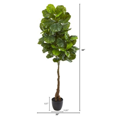 Image showing  64 in. Fiddle Leaf Artificial Tree