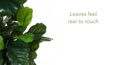 Image showing  64 in. Fiddle Leaf Artificial Tree