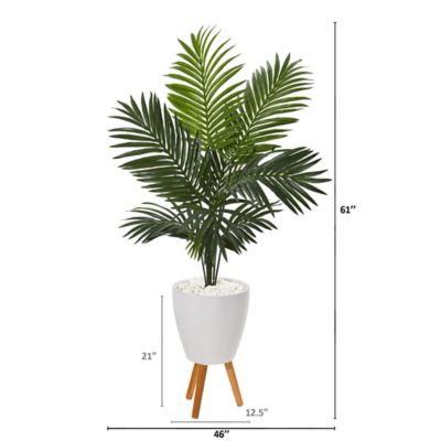 Image showing  61 in. Paradise Palm Artificial Tree in White Planter with Stand