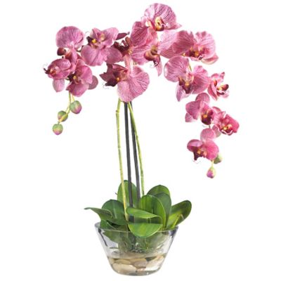 Nearly Natural 18 in. Silk Pink Phalaenopsis Flower Arrangement in Glass Vase
