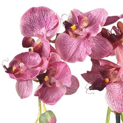 Image showing  18 in. Silk Pink Phalaenopsis Flower Arrangement in Glass Vase
