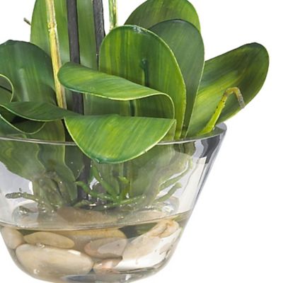 Image showing  18 in. Silk Pink Phalaenopsis Flower Arrangement in Glass Vase