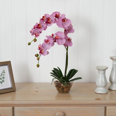 Image showing  18 in. Silk Pink Phalaenopsis Flower Arrangement in Glass Vase