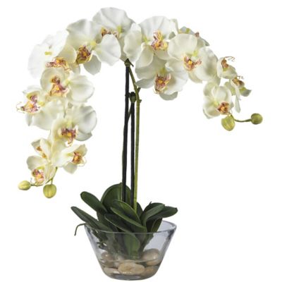 Nearly Natural 18 in. Phalaenopsis with Glass Vase Silk Flower Arrangement, 4643-WH