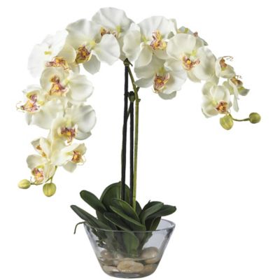 Nearly Natural 18 in. Silk White Phalaenopsis Flower Arrangement in Glass Vase
