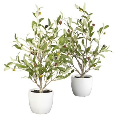 Nearly Natural 18 in. Olive Silk Trees with Vase, 2-Pack