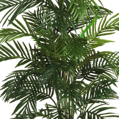 Image showing  56 in. Areca Palm Silk Tree with Basket