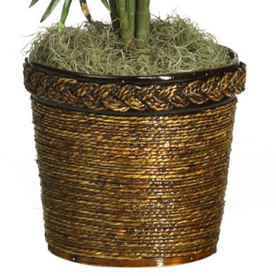 Image showing  56 in. Areca Palm Silk Tree with Basket